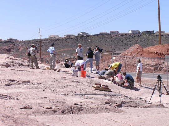 St George Dinosaur Discovery Site at Johnson Farm photo from the official site